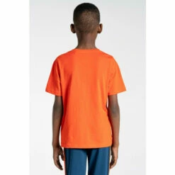 Craghoppers Kids' Graphic 'Tate' Short Sleeve T-Shirt For Male -Craghoppers Sales Shop unnamed file 1096